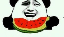 吃瓜群众的那些事,揭秘网络舆论背后的真相