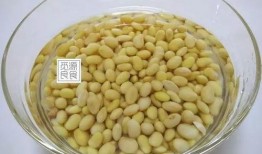 小黄豆吃瓜视频,揭秘瓜界奇闻异事