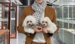 辰亦儒默默吃瓜,揭秘娱乐圈幕后真相