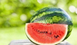 夏日吃瓜拍照神器推荐,定格美味瞬间