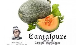 朕吃瓜,揭秘宫廷秘闻，一网打尽皇家八卦