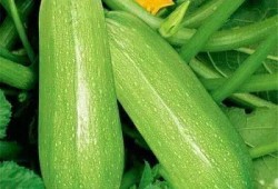 吃瓜后感,娱乐圈背后的真相与启示