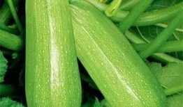 吃瓜后感,娱乐圈背后的真相与启示