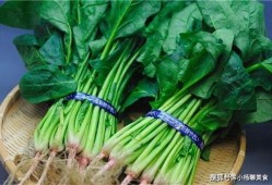 吃了菠菜可以吃瓜吗,探讨同食的饮食搭配奥秘