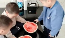 吃瓜的小学弟,揭秘吃瓜小弟的校园生活点滴