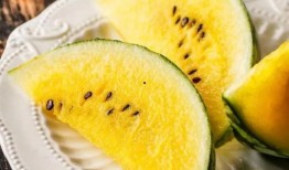 打个板吃瓜,揭秘网络热词背后的文化现象