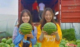 五一吃瓜今日吃瓜娜娜《老师》,娜娜带你揭秘老师背后的故事