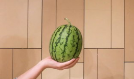 红玉能和蓝瓜一起吃吗,探寻食材搭配的奇妙之旅