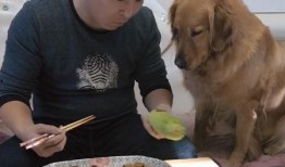 吃瓜主人的意思,网络红人的崛起与影响力