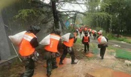 新闻河南吃瓜事件,一场网络舆论的风波与反思