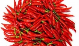 什么瓜撒辣椒吃,揭秘“什么瓜撒辣椒吃”的独特风味