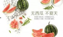 吃瓜不如学文化,文化学习才是硬道理