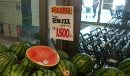 中国船队吃瓜,共赏海上“瓜田”盛景