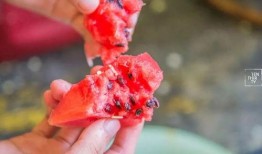 蛇头瓜如何做着吃,探索美味与营养的完美结合