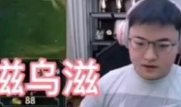 熊猫吃瓜群众视频,揭秘萌宠的娱乐生活