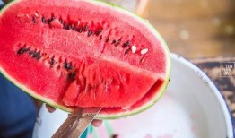 蛇头瓜如何做着吃,探索美味与营养的完美结合