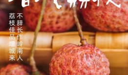 吃荔枝能吃瓜吗,同食相宜还是禁忌？