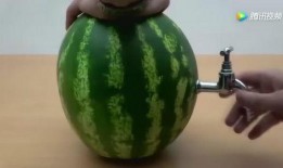 流行吃自己的瓜,揭秘流行吃瓜文化的现象与影响