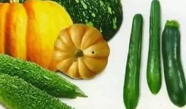 吃瓜怎么吃才好吃呢,揭秘吃瓜的最佳口感与技巧