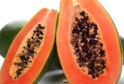 吃瓜神器水果盒,水果盒的神奇魅力与实用攻略