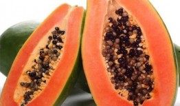 吃瓜神器水果盒,水果盒的神奇魅力与实用攻略