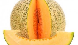 小童吃哈密瓜,甜蜜滋味与成长故事