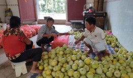 新余吃霸王瓜,吃霸王瓜，畅享夏日清凉盛宴