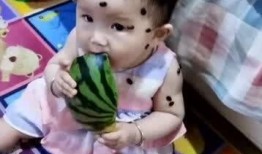 道具 吃瓜小妹,网络红人背后的瓜田传奇