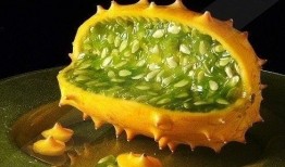 透析可以吃角瓜么,角瓜的适宜摄入与注意事项