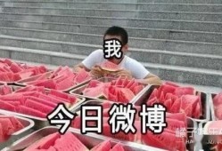全民吃瓜的视频,揭秘热门视频背后的娱乐狂欢