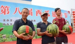 许昌吃瓜照片,一图看尽人间烟火