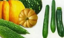 黄昏吃瓜,一场别开生面的夏日盛宴