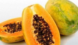 梦见吃瓜抢瓜什么预兆呢