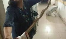 女寝打架吃瓜,一场校园打架事件的吃瓜记录