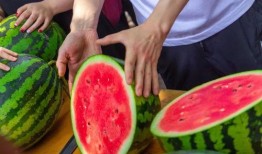 吃瓜学校100集,百集校园风云录