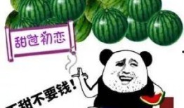 许昌吃瓜照片,一图看尽人间烟火