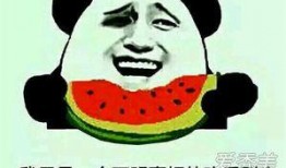 吃瓜主人的意思,网络红人的崛起与影响力