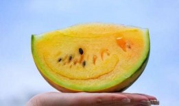 昆明吃瓜,探寻这座城市的“吃瓜”风情