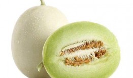 狐狸不苦吃瓜,探寻生活中的甜蜜与苦涩