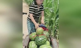 拿西瓜吃瓜视频,揭秘夏日消暑美食的甜蜜诱惑