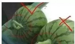 QQ上那种可以吃瓜的群,揭秘网络社交新现象