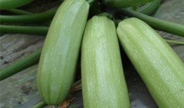 吃瓜多多后续,揭秘娱乐圈背后的真相与风波