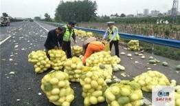 新闻河南吃瓜事件,一场网络舆论的风波与反思