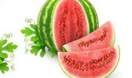 赠品带你吃瓜,跟随赠品探寻美食瓜界之旅