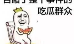 吃瓜吃的房子塌了,一女子因过度关注娱乐圈，房子竟被“吃”塌