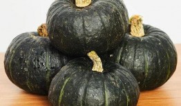 晚上吃贝贝瓜,甜蜜滋味润心田