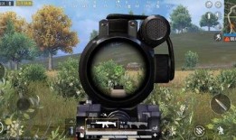 双双吃瓜和平精英,揭秘和平精英背后的精彩故事