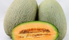热感冒可以吃哈密瓜吗,缓解热感冒的天然良药？