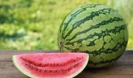 赠品带你吃瓜,跟随赠品探寻美食瓜界之旅