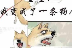 呆瓜吃瓜小说免费阅读,免费畅读小说的奇幻之旅